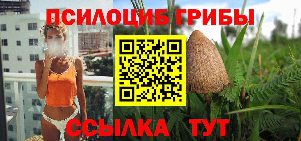 Галлюциногенные грибы Psilocybine cubensis  Вход с VPN  Усолье-Сибирское  Псилоцибиновые грибы прущие грибы 