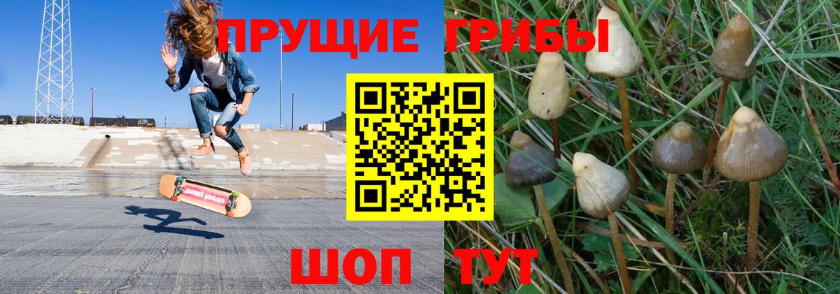 Галлюциногенные грибы Cubensis Усолье-Сибирское